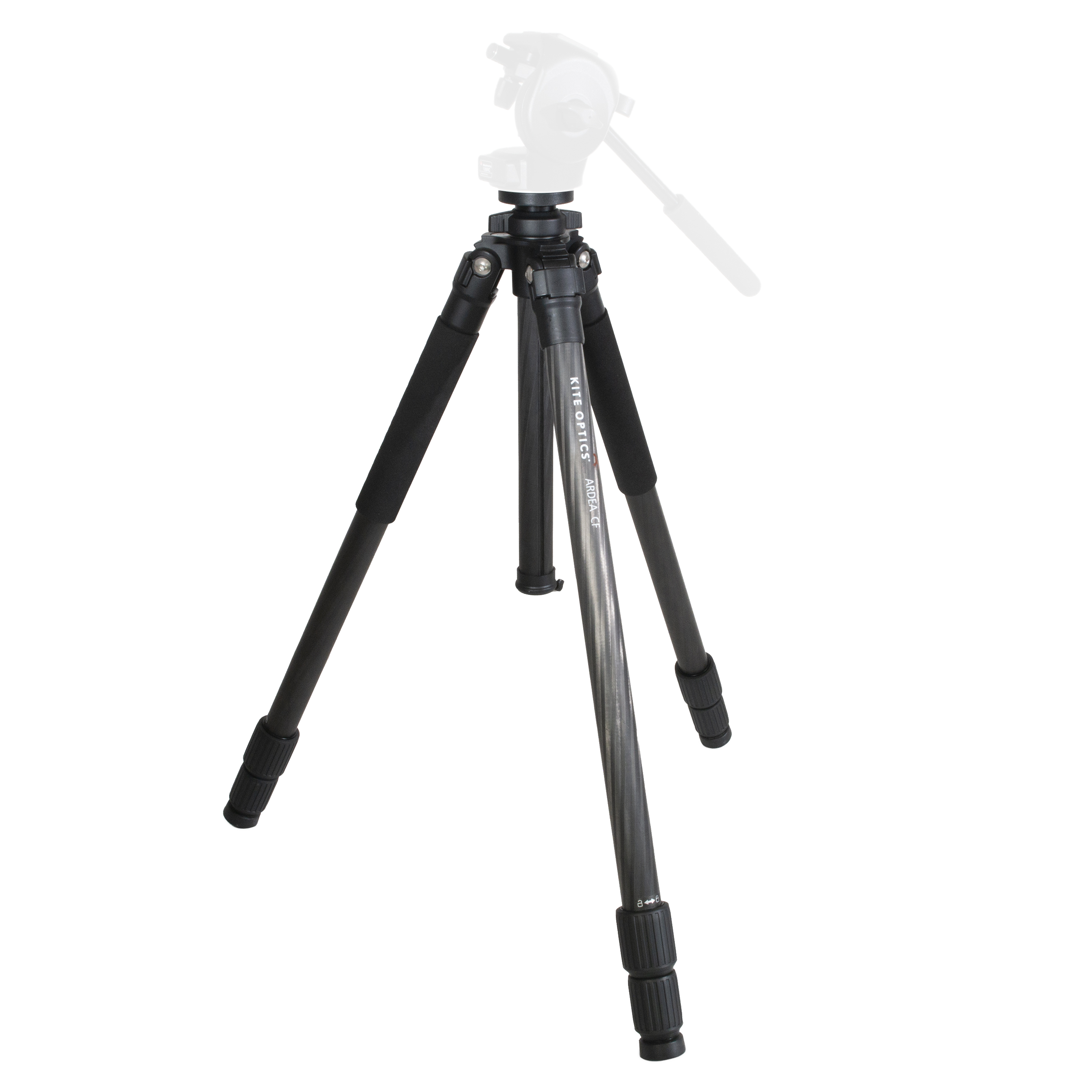 ARDEA CF