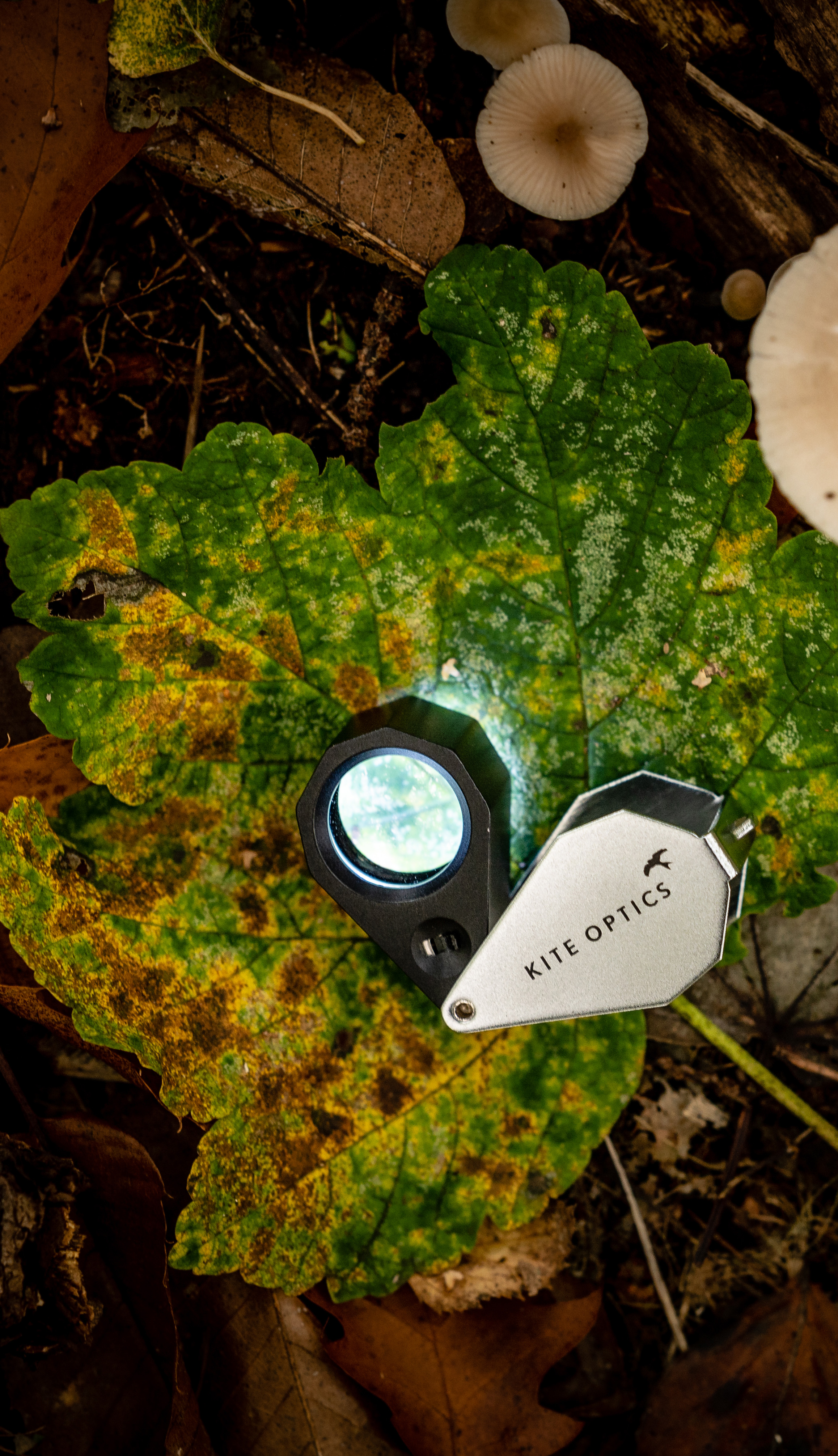 kite_optics_magnifiers_loupes_LED