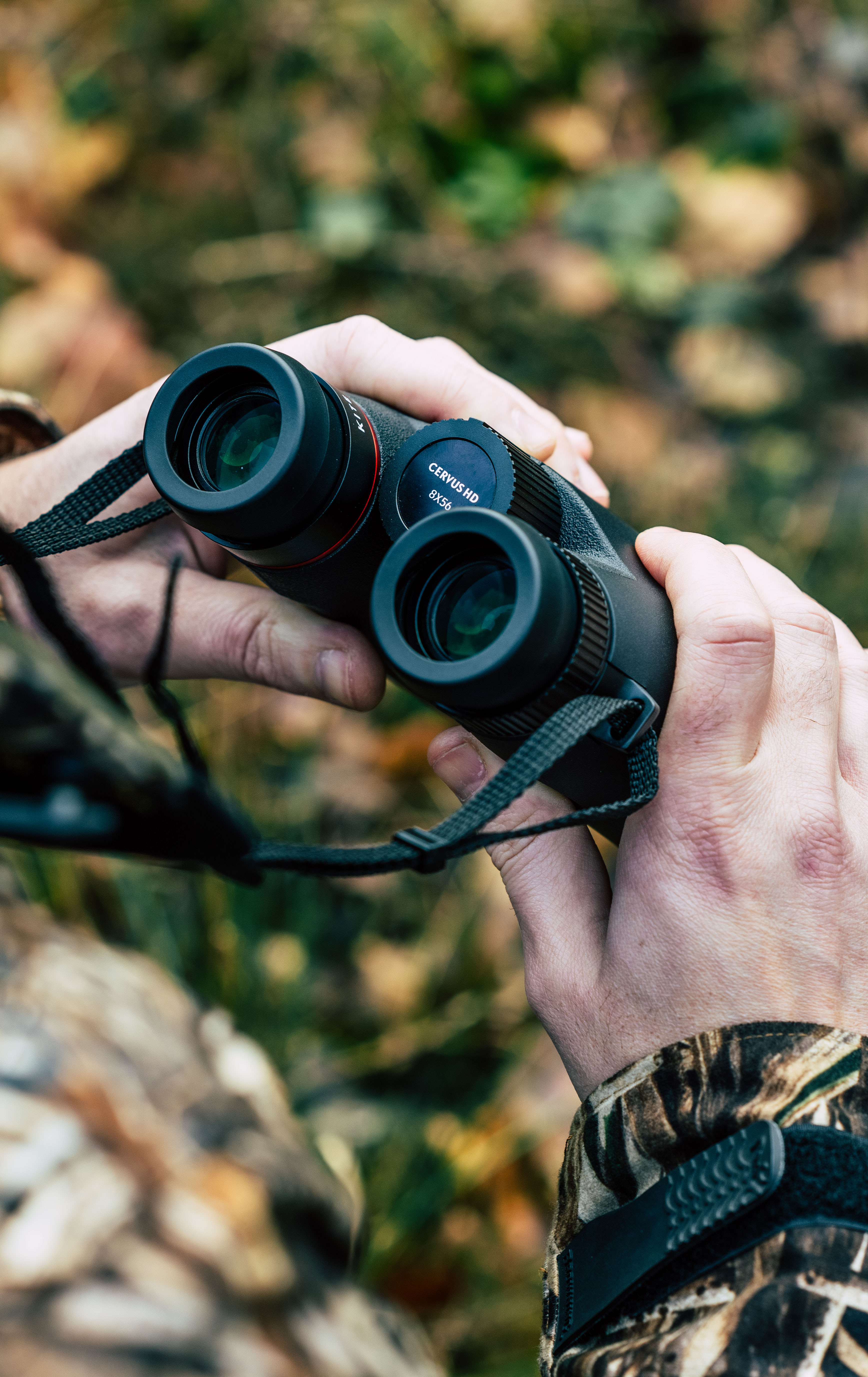 KIte_optics_cervus1