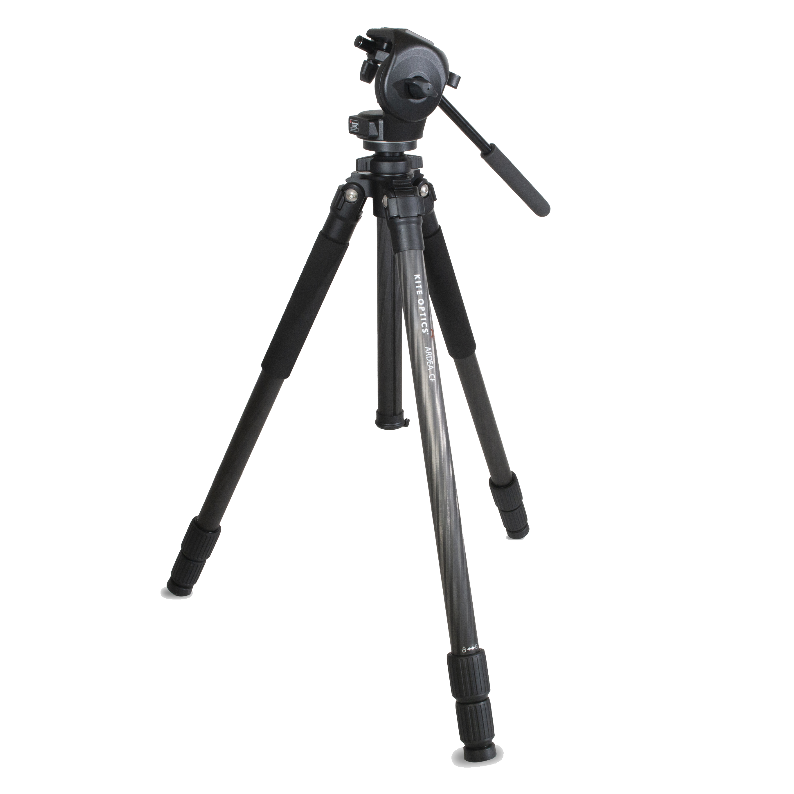 ARDEA CF
