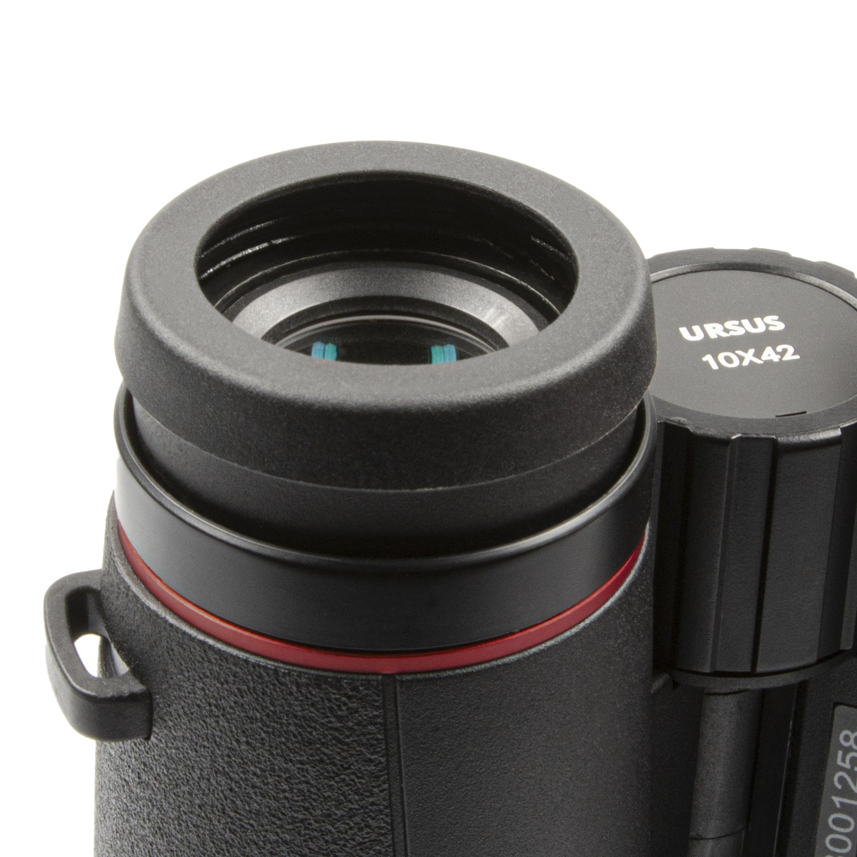 URSUS