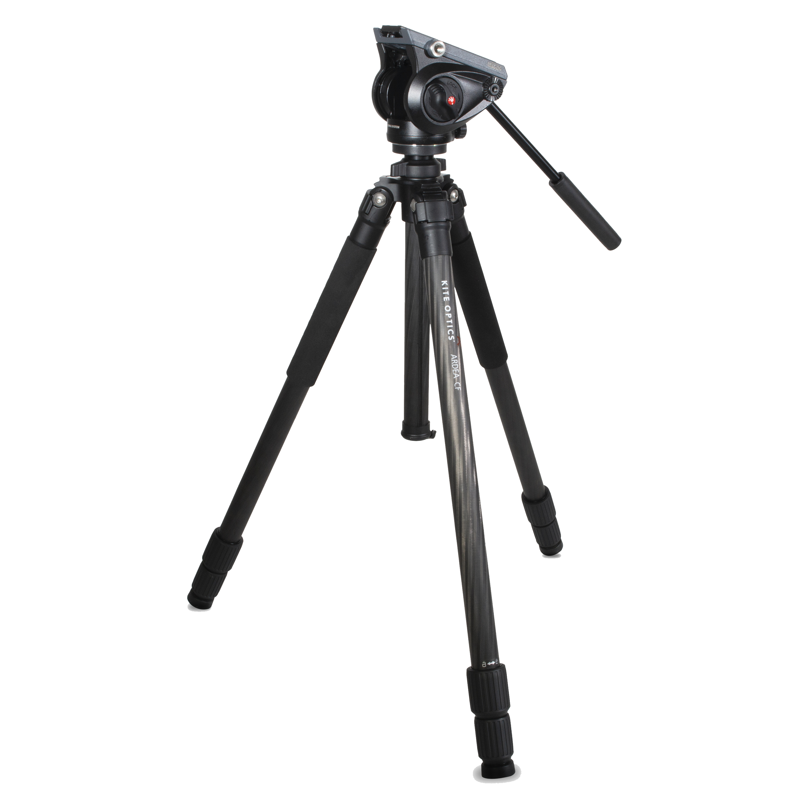 ARDEA CF