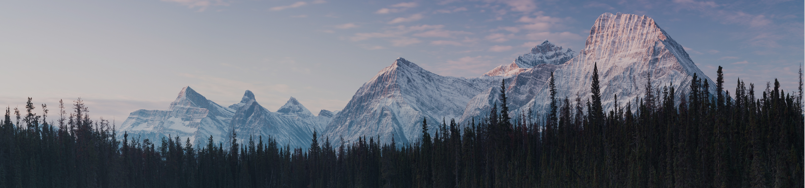 default_top_image_desktop