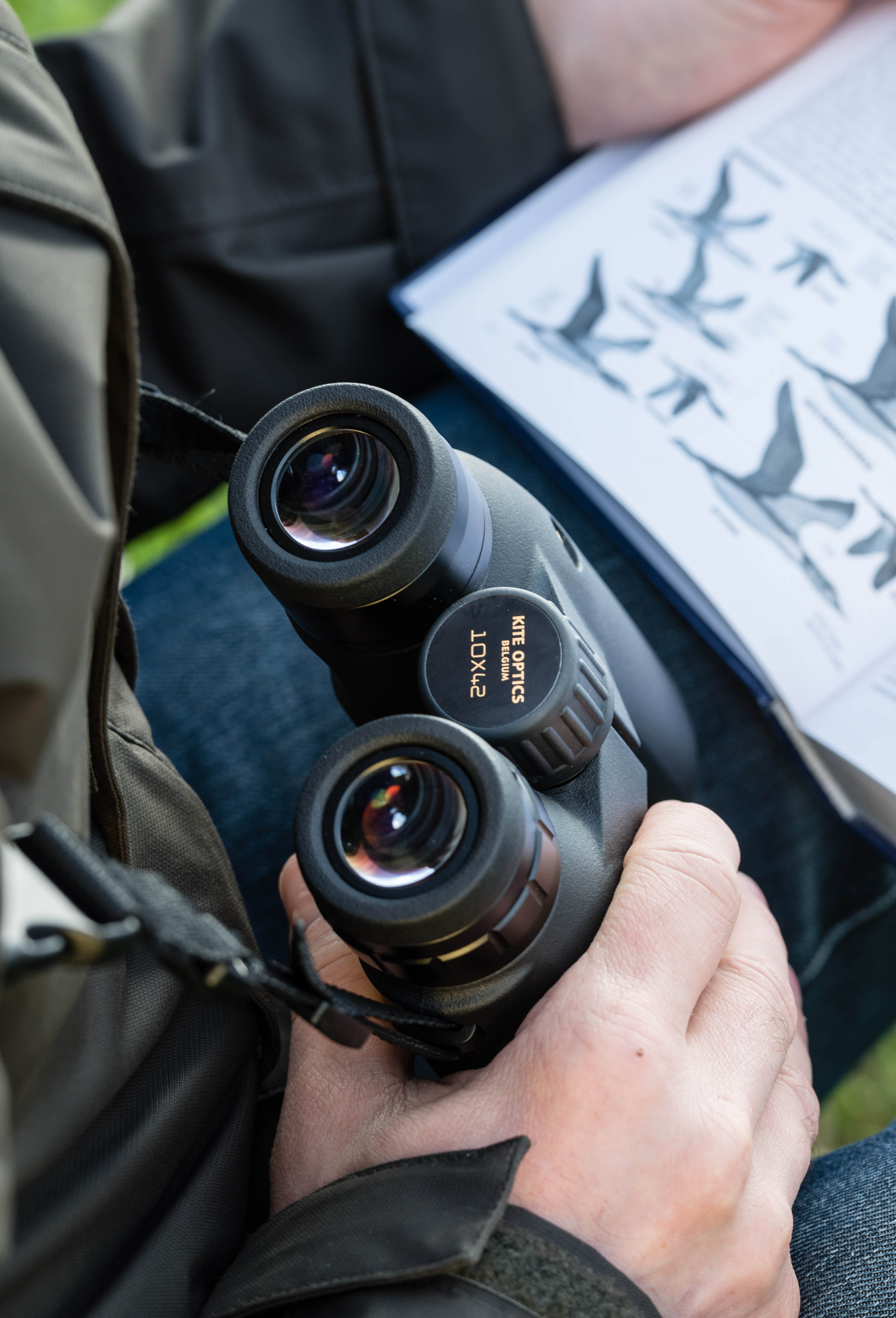 kite_OPTICS_BONELLI_BINOCULAR